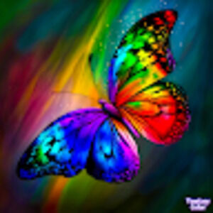 Meet your Posher, Sami